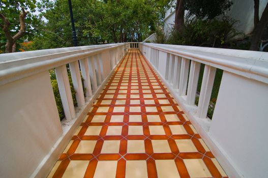 path way in the garden