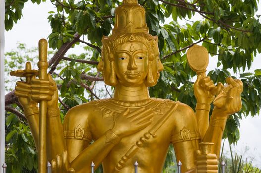 golden Brahma