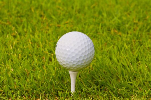 golf ball on green grass