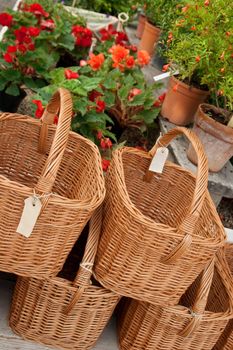 Baskets with blank labels and flowers in a flower shop.