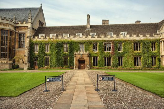 Ivy covered wall of Trinity College,Cambridge, UK