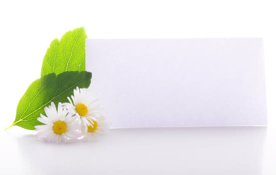 blank paper with copyspace and green leaves