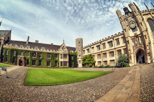 Ivy covered wall of Trinity College,Cambridge, UK