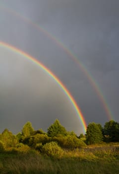 beautiful rainbow in sky after summer rain