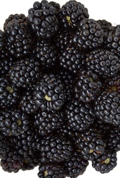 close-up blackberries, isolated on white