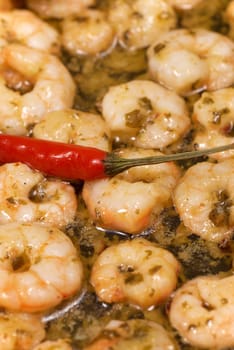 Spanish tapa, spicy shrimps fried in olive oil