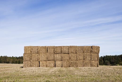 Bale of Haystack on a sunny day