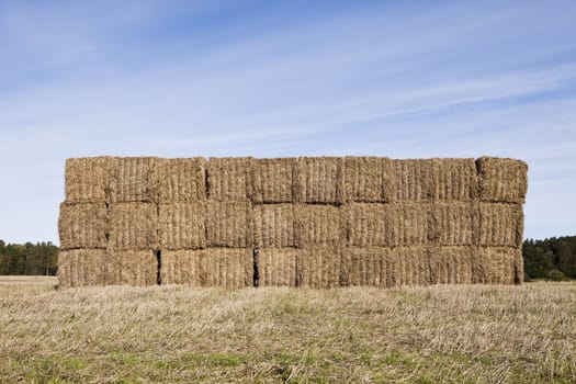 Bale of Haystack on a sunny day