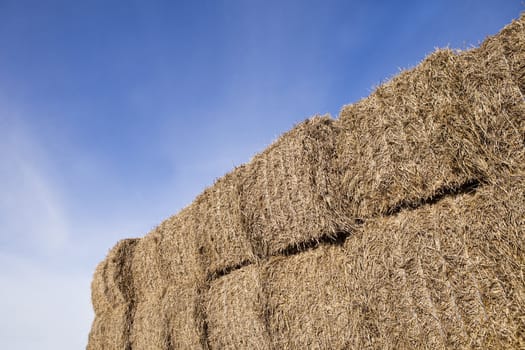 Bale of Haystack on a sunny day