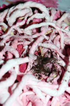 a tangled up abstract of guts and intestines