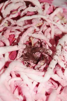 a tangled up abstract of guts and intestines