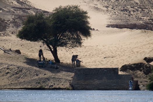 We take a closer look at life on Nile River on MAY 27, 2008, while having a felucca sailboat ride from Aswan to Elephantine Island and to a nubian village.