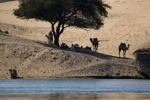 We take a closer look at life on Nile River on MAY 27, 2008, while having a felucca sailboat ride from Aswan to Elephantine Island and to a nubian village.