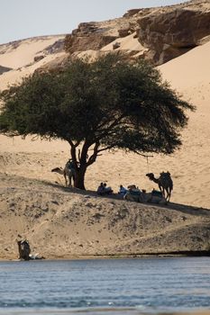 We take a closer look at life on Nile River on MAY 27, 2008, while having a felucca sailboat ride from Aswan to Elephantine Island and to a nubian village.