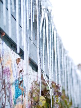 Ice cold Icicles hanging down from a roof top