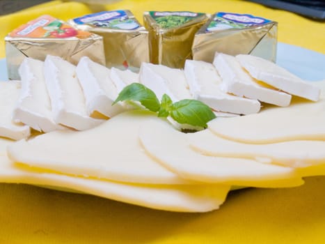 Assortment of delicious cheese on a  cheese board