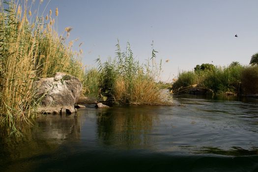 We take a closer look at life on Nile River on MAY 27, 2008, while having a felucca sailboat ride from Aswan to Elephantine Island and to a nubian village.