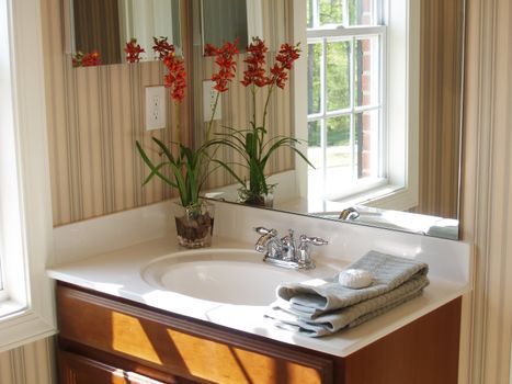 Bathroom vanity and mirror with a reflected window