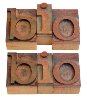 biography or biology concept, bio shortening word  in vintage wooden letterpress printing blocks isolated on white, two layouts