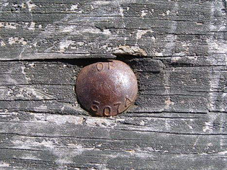An old weathered piece of wood with a rusted metal bolt head