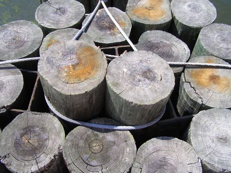 View of the top of wooden pilings and rusted metal I-beams with steel cables lashing them together.