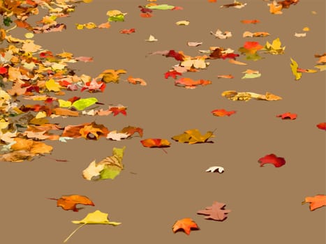 Illustration of autumn leaves strewn about on a dark background