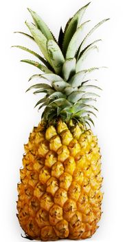 fresh big ananas head with green leaves