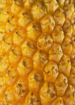 pineapple outside peel texture