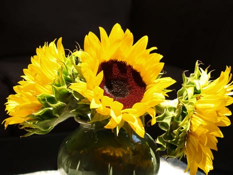 Three brightly lit sunflowers in an arrangement