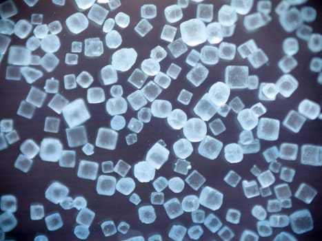 Macro of common table salt against a blue background