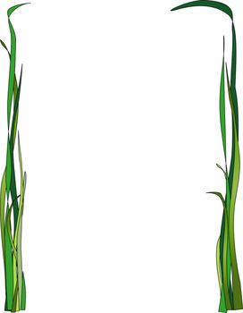 Illustration of blades of grass framing a page