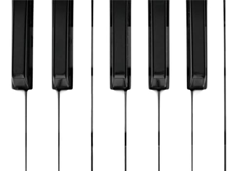 Black and white keys on music keyboard