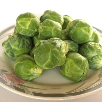 Brussel sprouts mini cabbages isolated