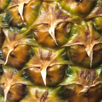 Close up pineapple ananas background