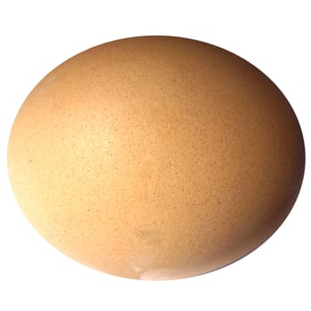 Egg