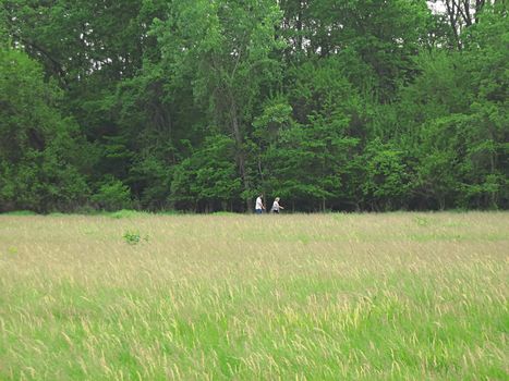 A photograph of people walking along a trail.