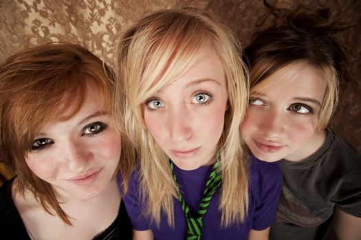 Portrait of three pretty young girls on a gold background