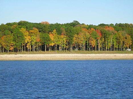 A photograph of autumn foliage by the water.