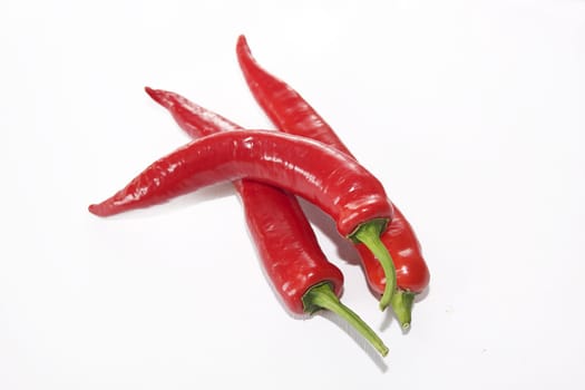 Three organically grown ripe red chilli peppers, krakatoa variety, set on an isolated white background.