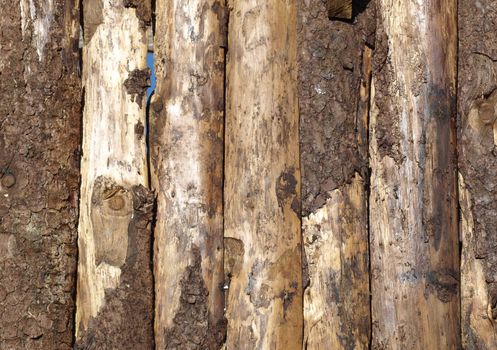 Old wood logs or plank board background