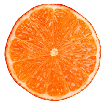 Red orange citrus slice
