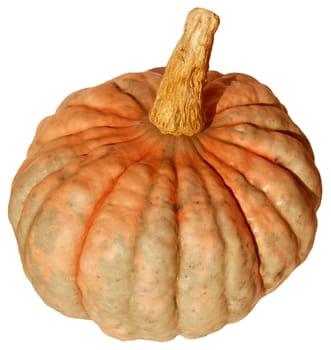 Pumpkin