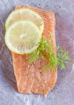 Raw salmon fillet