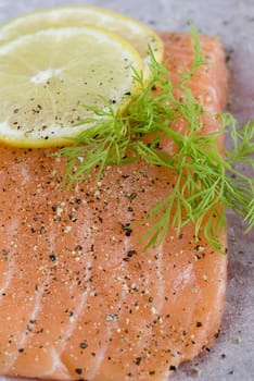 Raw salmon fillet