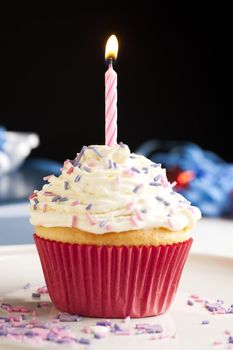 Cupcake with icing and sprinkles topped with one burning birthday candle.