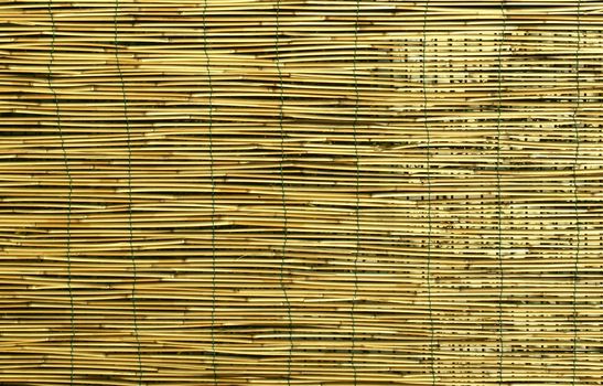 Bamboo fence or wall background