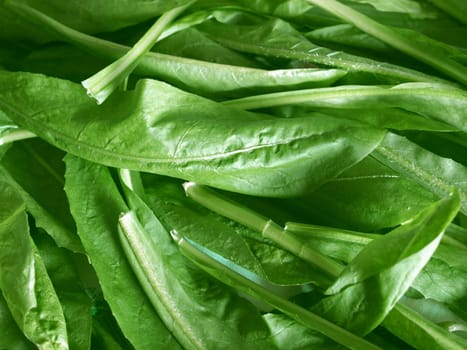 Salad food background