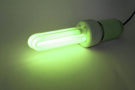 Compact fluorescent light bulb ecological low carbon - Green light of approval