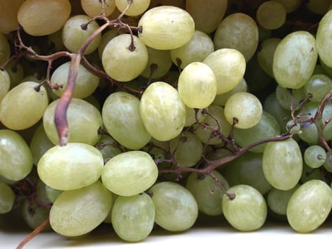 Grape of vitis