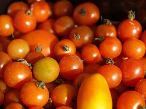 Cherry tomatoes